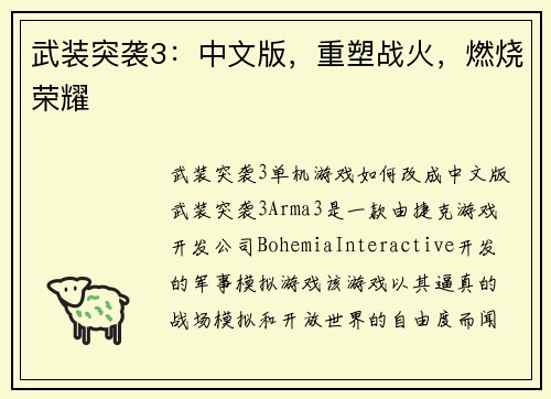 武装突袭3：中文版，重塑战火，燃烧荣耀
